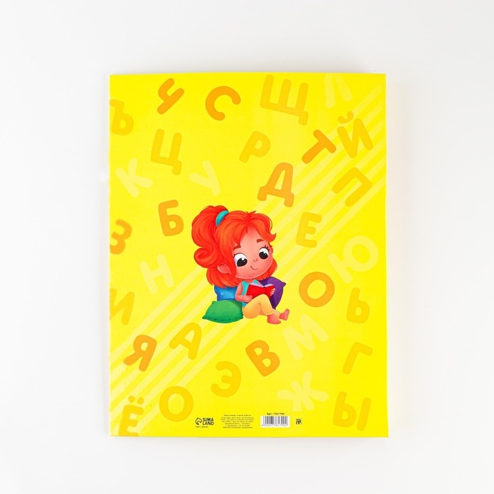 Папка школьная на кольцах &laquo;Портфолио дошкольника&raquo;, 14 листов-разделителей, 24,5 х 32 см.