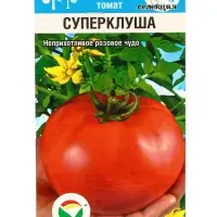 Семена Томат "Суперклуша", среднеранний,детерминантный,низкорослый, 20 шт