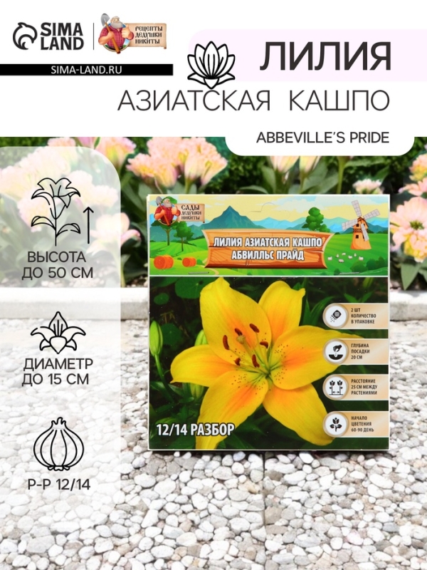 Лилия Азиатская Кашпо "Abbeville's Pride", луковица в пакете с перфорацией, р-р 12/14, 2 шт.