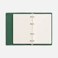 Ежедневник inStream, недатированный, зеленый