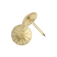 Гвозди ТУНДРА, декоративные, обивочные, фактурные, 11&times;16 мм, золото, 100 шт.