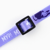 Ошейник для кошек с фастексом &laquo;Мур, мур&raquo;, 30 х 1 см