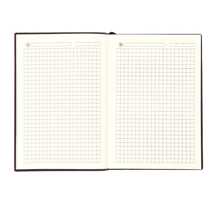 Ежедневник недатированный, формат А6+,116 листов, клетка, ЛАЙТ Коричневый, тониров.  срез