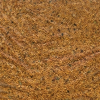 Семена Горчица белая, Мой Выбор, 1 кг Семена Горчица белая, Мой Выбор, 1 кг