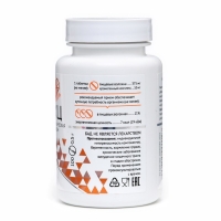 МКЦ &laquo;Дворник&raquo; с чагой, для ЖКТ 100 таблеток по 0.5 г,