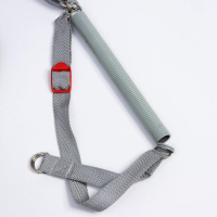 Прыгунки №4, 3в1, &laquo;Звезды&raquo;, цвет МИКС