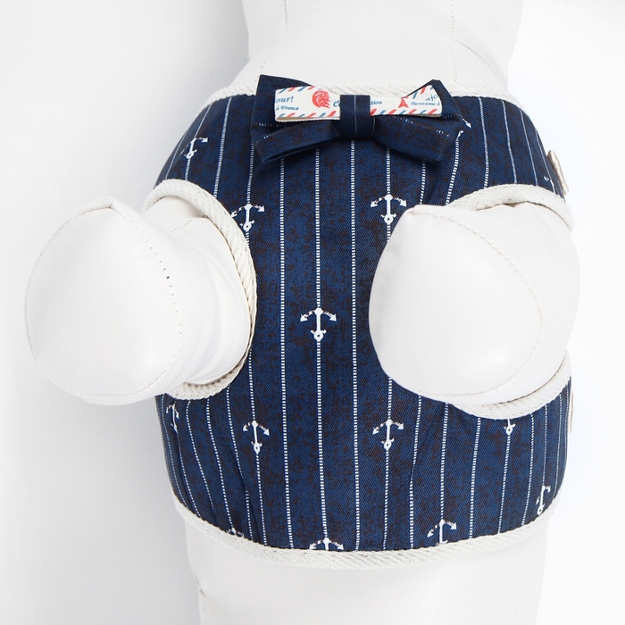 Комплект с мягкой шлейкой Комплект с мягкой шлейкой "Якорь", размер M, поводок, 120 х 1,5 см, ОГ 34-66 см, синий