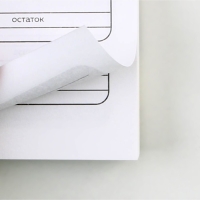 Умный блокнот CashBook А6, 68 листов &laquo;Советы енотика&raquo;