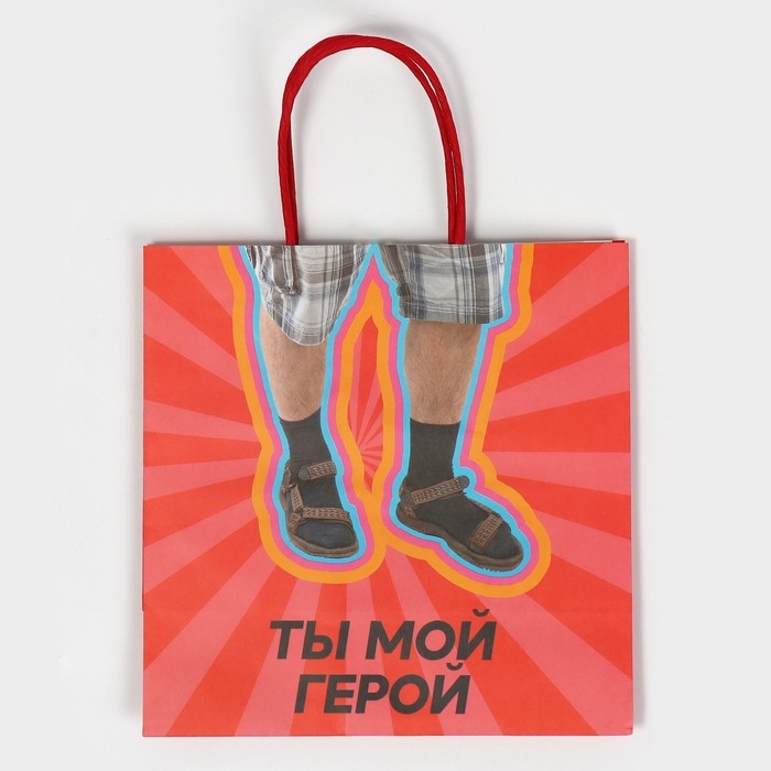 Пакет подарочный, упаковка, &laquo;Герой&raquo;, 22 х 22 х 11 см