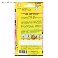 Семена цветов Пеларгония "Дансер Тауэр", смесь окрасок, F2, 5 шт. Семена цветов Пеларгония "Дансер Тауэр", смесь окрасок, F2, 5 шт.