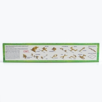 Спортивная игра «Городки» в коробке (дерево, 12 элементов, 15 фигур) Спортивная игра «Городки» в коробке (дерево, 12 элементов, 15 фигур)