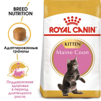 Сухой корм RC Kitten Maine Coon для котят крупных пород, 10 кг