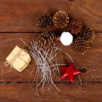 Набор новогоднего декора "Незабываемый праздник" размер шишек: 1,5 &times; 2 см