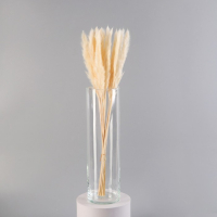 Ваза "Иберетта-400" h-40см; d-11,5см, 3,8л прозрачная Ваза "Иберетта-400" h-40см; d-11,5см, 3,8л прозрачная