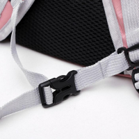 Рюкзак для переноски кошек и собак, прозрачный, 31 х 28 х 42 см, розовый Рюкзак для переноски кошек и собак, прозрачный, 31 х 28 х 42 см, розовый