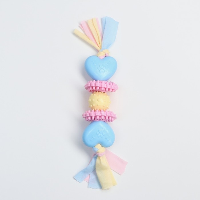 Игрушка жевательная Пижон Premium на верёвке, 5 элементов, термопластичная резина, микс Игрушка жевательная Пижон Premium на верёвке, 5 элементов, термопластичная резина, микс