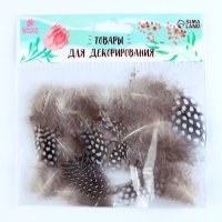 Набор перьев для декора 10 шт., размер 1 шт: 5 &times; 2 см, цвет коричневый с белым