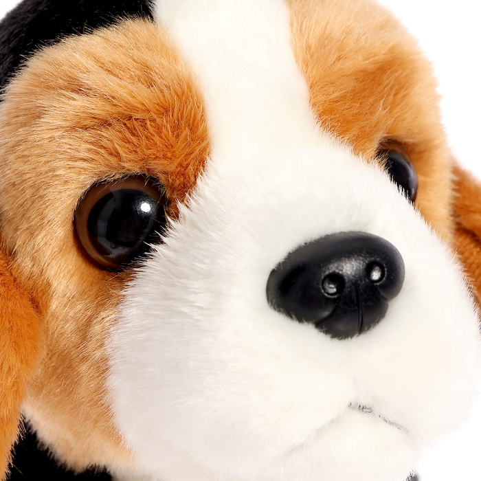 Мягкая игрушка &laquo;Собака эстонская гончая&raquo;, 20 см