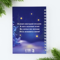 Подарочный набор новогодний «Для маленькой принцессы», ручка, блокнот А6, 40 л Подарочный набор новогодний «Для маленькой принцессы», ручка, блокнот А6, 40 л
