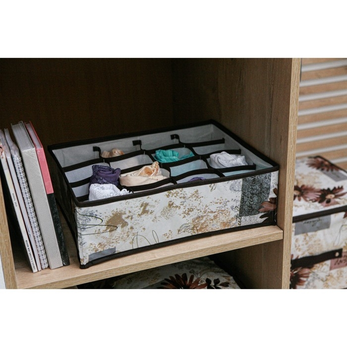 Органайзер для хранения белья Доляна &laquo;Астра&raquo;, 16 ячеек, 36&times;28&times;12 см, цвет МИКС