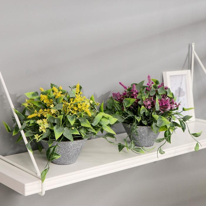 Бонсай в горшке "Лиана и мелкие цветочки" 11х16 см, микс