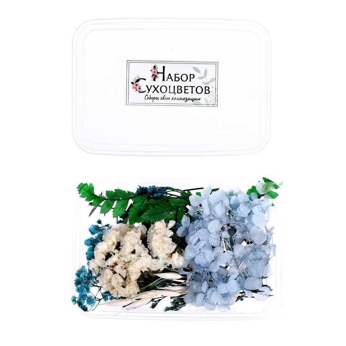 Набор для творчества «Набор сухоцветов», малый, голубой Набор для творчества «Набор сухоцветов», малый, голубой