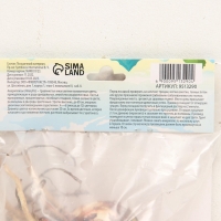 Амариллис Barbados, многолетник, луковица, р-р 24/26, 1 шт. Амариллис Barbados, многолетник, луковица, р-р 24/26, 1 шт.