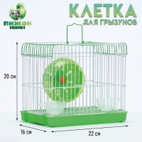 Клетка для грызунов укомплектованная RT-2q, 22 х 16 х 20 см, зелёная (фасовка 30 шт)