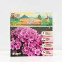 Флокс &laquo;Бэби Фейс&raquo; корневище в пакете с торфогрунтом, р-р I, 2 шт.