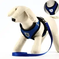 Комплект амуниции с мягкой шлейкой и светоотражающей нашивкой, M, ОШ 26,  ОГ 36-44, синий