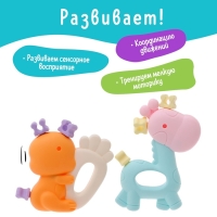 Набор прорезывателей для зубов &laquo;Забавные зверята&raquo;, 2 шт.