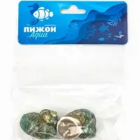 Набор ракушек декоративных, длина 4-5 см. ширина 2 см, 2 шт