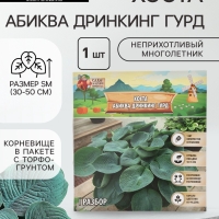 Хоста &laquo;Абиква Дринкинг Гурд&raquo;, корневище в пакете с торфогрунтом, р-р I, 1 шт.
