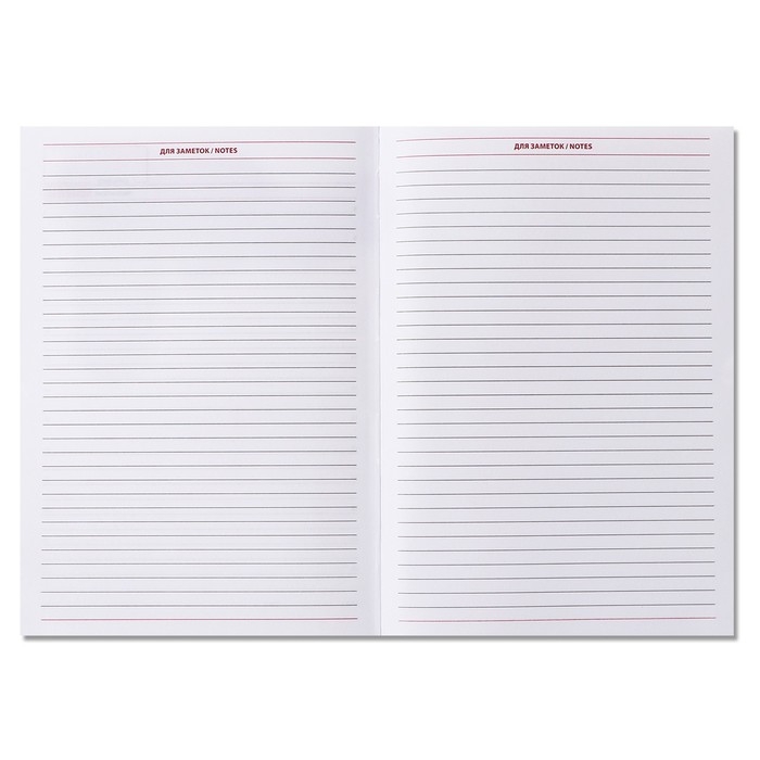 Ежедневник недатированный А5, 160 листов "Вивелла", обложка искусственная кожа, перфорация углов, тёмно-синий