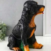 Копилка "Ротвейлер", 37,5х23,5х29 см