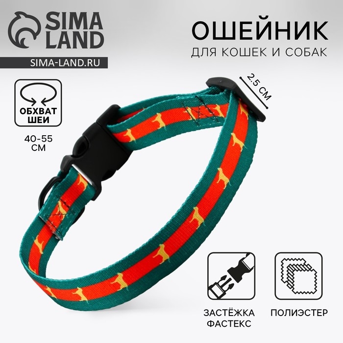 Ошейник &laquo;На стиле&raquo;, застёжка - фастекс, 2.5 см, 40-55 см