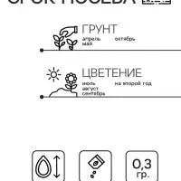 Семена Цветов Нивяник "Солнечные лучики", 0,3 г