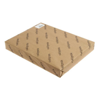 Картон переплётный 0.9 мм, 30 х 40 см, 50 листов, 540 г/м², серый Картон переплётный 0.9 мм, 30 х 40 см, 50 листов, 540 г/м², серый