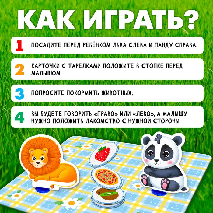 Развивающий набор &laquo;Всё по местам&raquo;, 16 карточек, 10 заданий, 3+