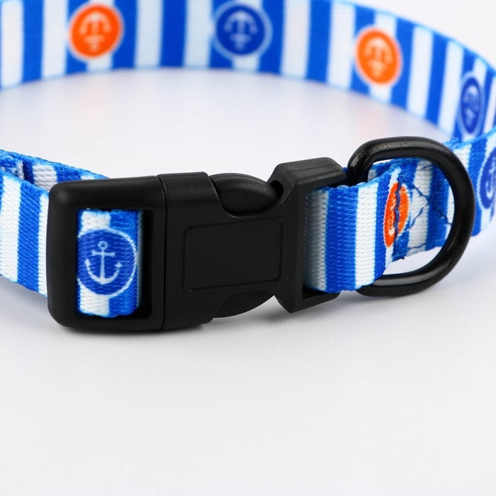 Ошейник «Для большого путешествия», застёжка - фастекс, 2 см 25-40 см Ошейник «Для большого путешествия», застёжка - фастекс, 2 см 25-40 см