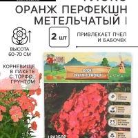 Флокс &laquo;Оранж Перфекшн&raquo; метельчатый, корневище в пакете с торфогрунтом, р-р I, 2 шт.