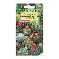 Семена комнатных цветов Кактус "Непоседа", ц/п,  0,05 г