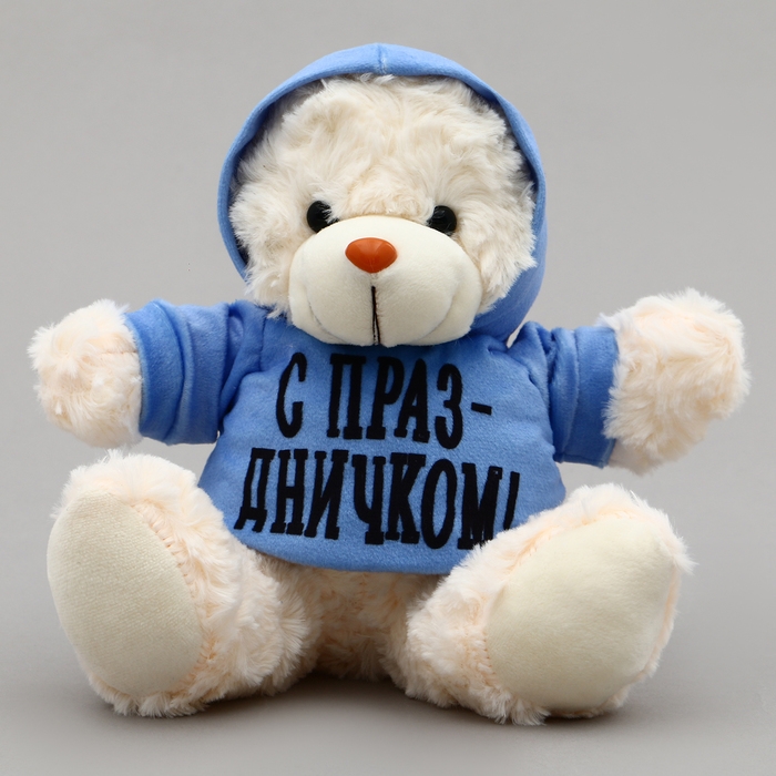 Мягкая игрушка Мишка &laquo;С праздничком!&raquo;, в кофте, 13 см