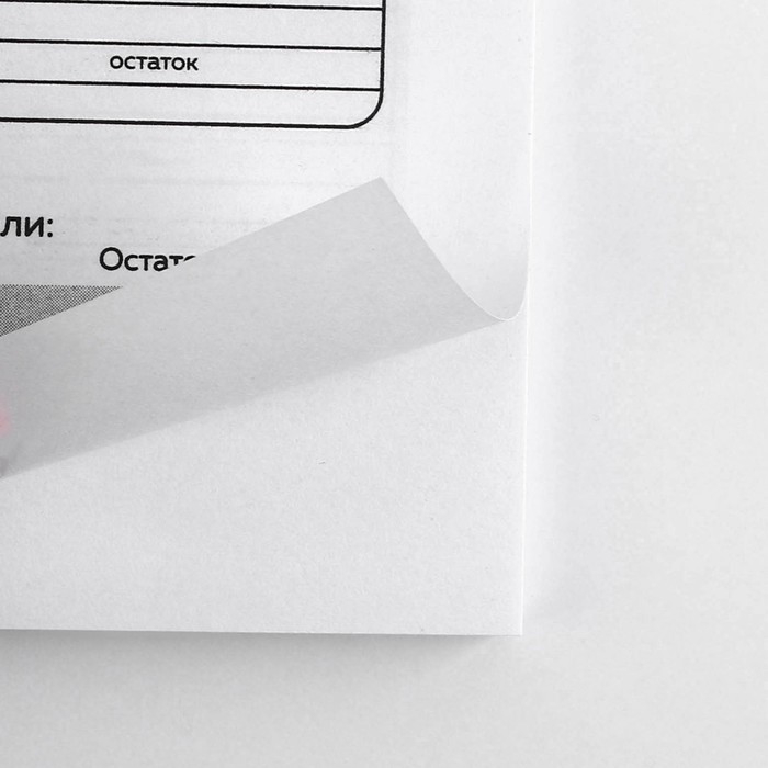 Умный блокнот CashBook А6, 68 листов &laquo;Денежный кот&raquo;