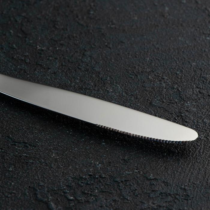 Набор столовый &laquo;Торжество&raquo;, 24 предмета, толщина 2 мм, сувенирная коробка, цвет серебряный