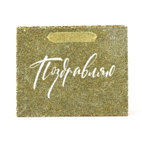 Пакет ламинированный горизонтальный &laquo;Поздравляю&raquo;, глиттер, MS 23 х 18 х 10 см