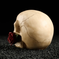 Декор для аквариума Last Love, 14 х 9 х 11 см Декор для аквариума Last Love, 14 х 9 х 11 см