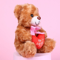 Мягкая игрушка «Ты лучше всех», медведь, цвета МИКС Мягкая игрушка «Ты лучше всех», медведь, цвета МИКС