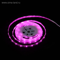 Фитолента светодиодная Uniel, 12 В, SMD2835, 2 м, IP65, 7.5Вт/м, 42LED/м, мультиспектральная Фитолента светодиодная Uniel, 12 В, SMD2835, 2 м, IP65, 7.5Вт/м, 42LED/м, мультиспектральная