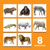 Картинки-половинки &laquo;Животные Африки&raquo;